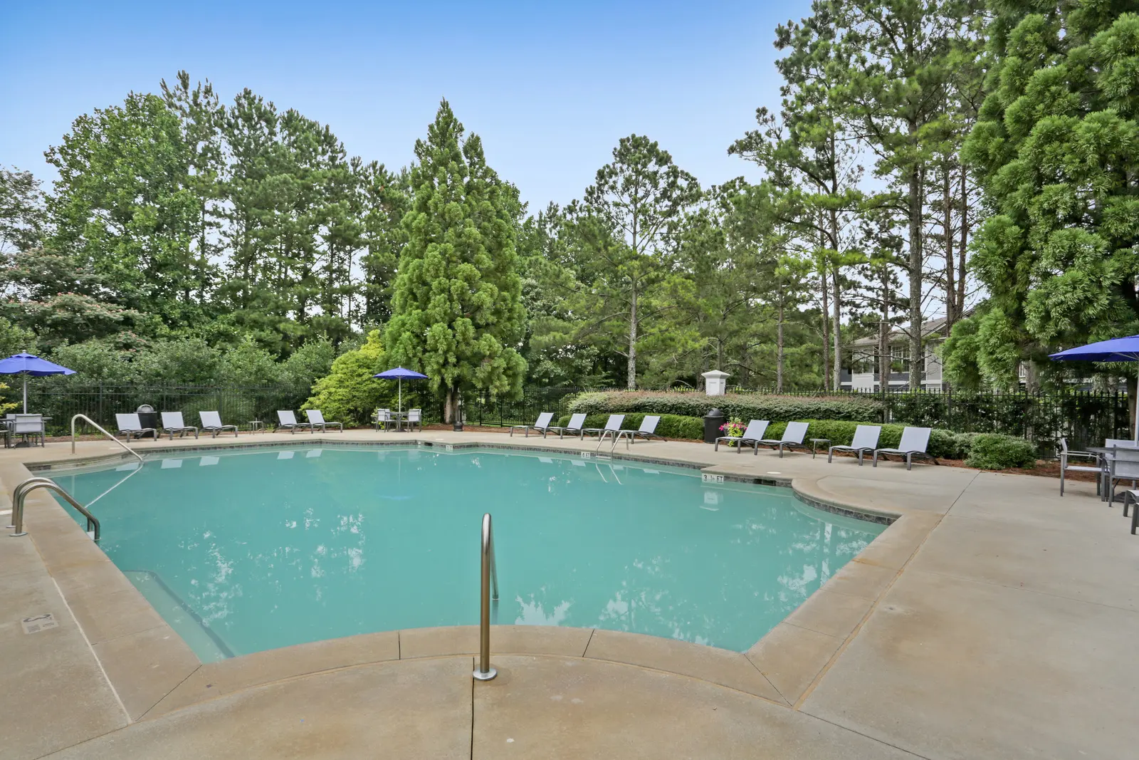 Luxury pool surrounded by trees